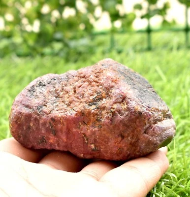 AAA Natural Unheated Mozambique Ruby Rough Loose Gemstone rough 1815 CT - Image 1 of 4