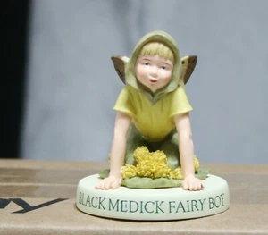 BLACK MEDICK BOY FAIRY Flower Fairy figurine, Cicely Mary Barker, Retired #88915 - Picture 1 of 11