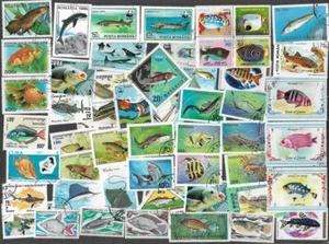 FISCHE AUF BRIEFMARKEN NATUR 100 ALLE VERSCHIEDENE BRIEFMARKEN SAMMLUNG 29.5.25 - Bild 1 von 1