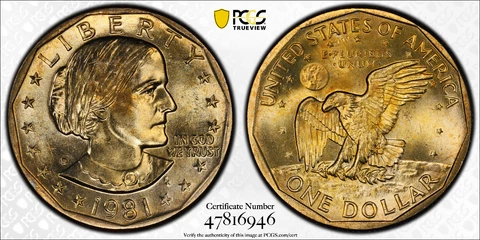 1981 D TONED SBA $1 SUSAN B ANTHONY DOLLAR PCGS MS64 With Gold Shield & TrueView Cover