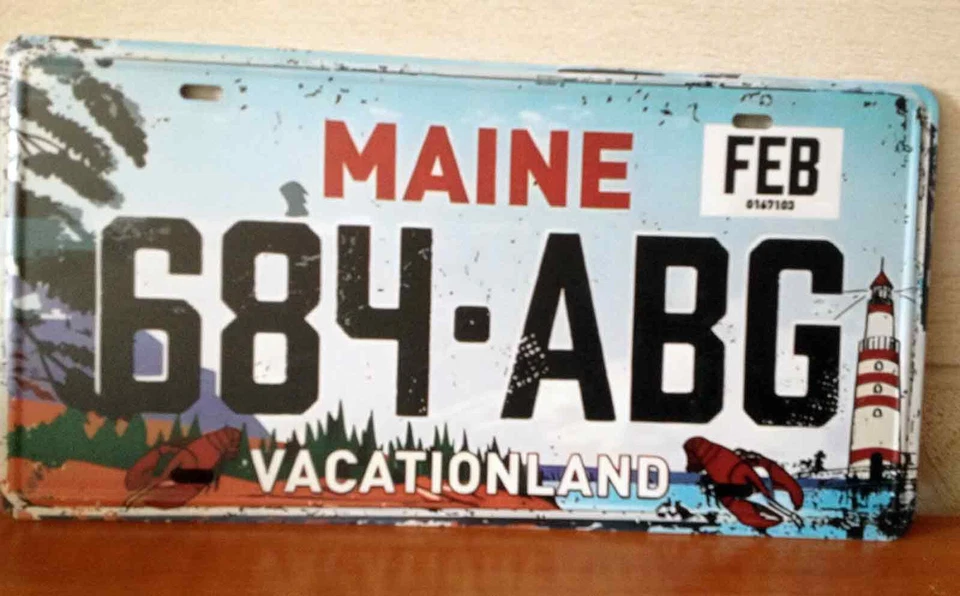 Plaque immatriculation 30 X 16 cm -USA: MAINE - Photo 1/1