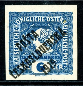 Czechoslovakia 1919 Semipostal Scott #B29 Mint M594 - Picture 1 of 6