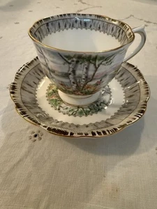 Royal Albert Silver Birch Teacup & Saucer - Picture 1 of 2
