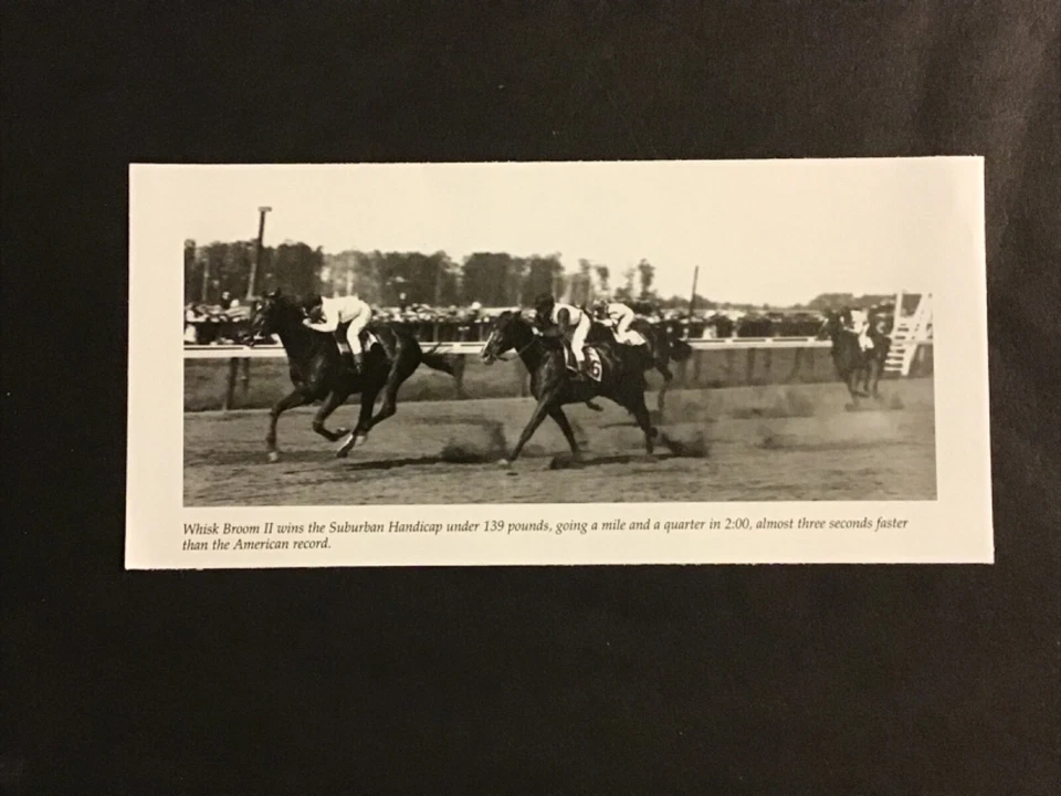 Foto WHISKY ESCOBA II Carreras de Caballos HÁNDICAP Suburbano Foto 1 de 1