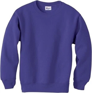 Youth Hanes Ecosmart Crewneck Purple Cotton Blend Sweatshirt Size Large P364 NWT - Picture 1 of 3