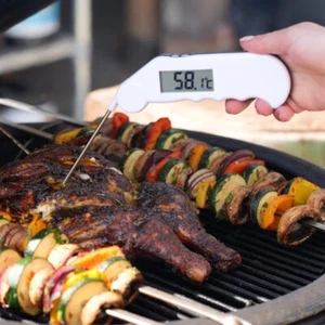ETI Food Gourmet Thermometer - Picture 1 of 7