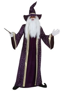 Adult Purple Wizard Costume - Picture 1 of 1