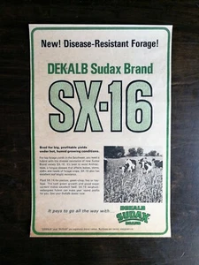 Anuncio original vintage 1969 Dekalb Sudax marca SX-16 cultivo de semillas - Imagen 1 de 1