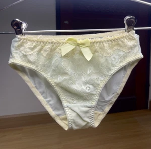 Vintage Silky Pale Nylon Mesh Sissy Panty Sz.5 Floral Lace Briefs Hip 34-37" - Picture 1 of 17