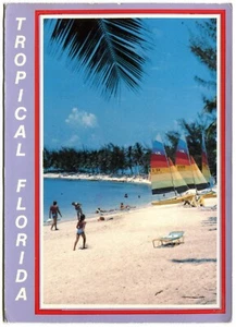 Continental Postcard - Tropical Florida Beach Scene (1990) - Picture 1 of 2
