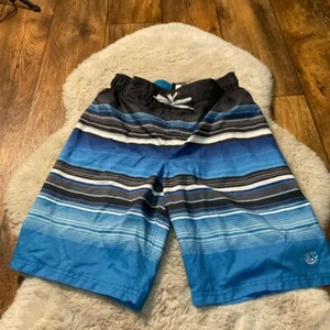 Zero Xposure Swim Trunks Youth Boys Large Kids Shorts Blue Patter Stripe - Picture 1 of 7
