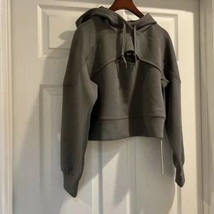 NWT Lululemon Get Centred Crop Hoodie Grey Sage Size: 4 - Picture 1 of 7