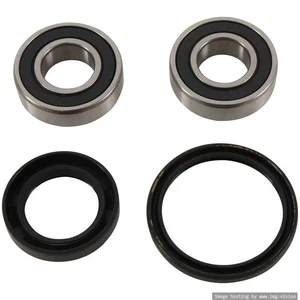 Pivot Works Front Wheel Bearings 1995-2007 Honda SHADOW VLX 600 NEW - Picture 1 of 2