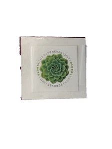 Global Green Succulent Forever Stamp Scott # 5198 - Bild 1 von 1