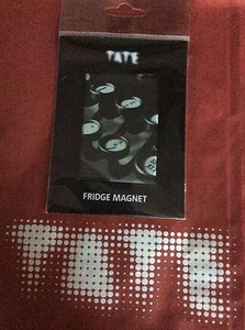 TATE MODERN RALPH STEINER MAGNET BNIP - Picture 1 of 9