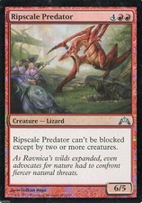 MTG - Gatecrash - Ripscale Predator - Foil - NM