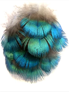 10pcs 6cm Natural Blue Green Rare Peacock Plumage Feathers DIY Craft Jewellery - Picture 1 of 7