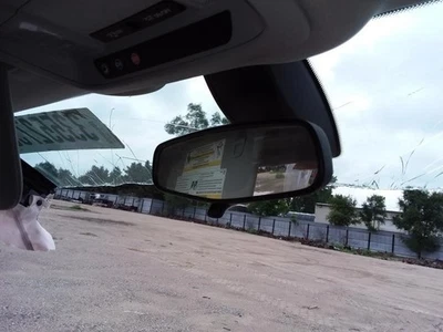 EQUINOX   2018 Interior Rear View Mirror 817186 — 第 1/4 张图片