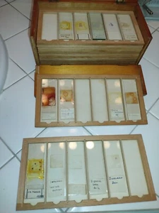 MICROSCOPE SLIDES AND WOOD CASE.. VINTAGE OR ANTIQUE - Picture 1 of 13