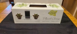Syndicate Home & Garden Plant Amp 3.75" H x 4" W Glass Stylish Accent Planter - Picture 1 of 4