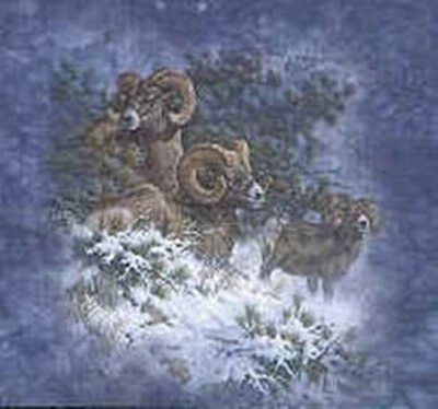 Camiseta Big Horn Sheep NOVA XXL, GG, M Adulto Azul Líquido Vintage Etiqueta Cinza - Imagem 1 de 2