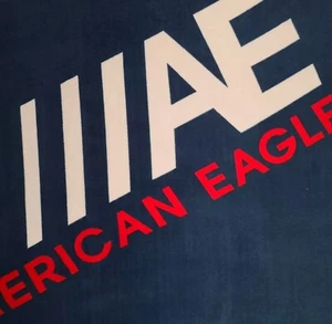 American Eagle Outfitters Fleece Throw Blanket Super Soft 50" x 60" Free Bag - Picture 1 of 4