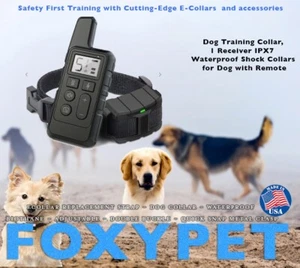 Dog Training Collar 1 Receiver IPX7 Waterproof Shock Collars for Dog with Remote - Picture 1 of 4