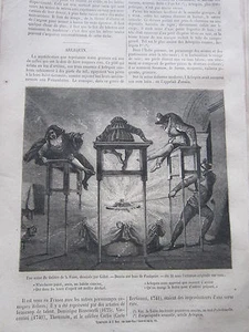Arlequin ( une scène de théatre ) 1865 Gravure Article de presse - Imagen 1 de 1