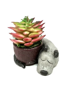 2.5" Potted Baby SLEEPING DOG Blob House Mini pot WITH faux Succulent as shown, - Picture 1 of 8