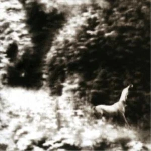 Syd Matters Ghost Days (CD) Album - Picture 1 of 1