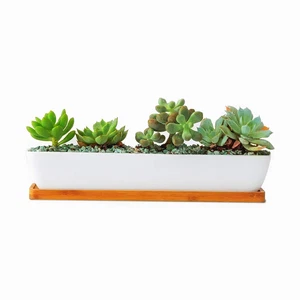 10.8inch White Ceramic Long Rectangular Succulent Planter Pot - Picture 1 of 4