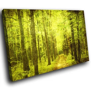 SC288 Retro Green Brown Forest Cool Nature Canvas Wall Art Large Picture Prints - Picture 1 of 6