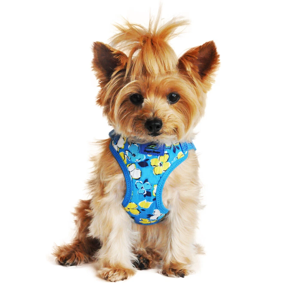 Сбруя для собак | гавайская синяя накидка и застежка | Doggie Design размер X-Small - Изображение 1 из 4