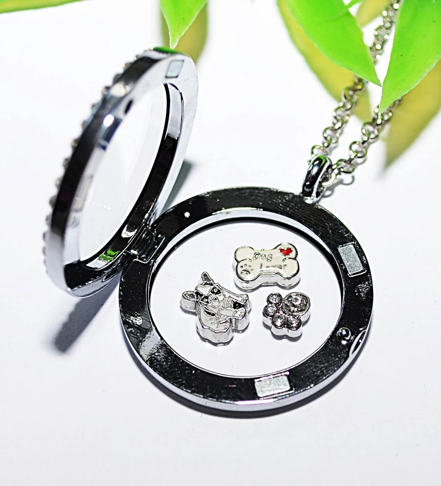 MEIN BULLY +++ Medaillon Kette Anhänger FLOATING CHARMS Bulldogge französische   - Bild 1 von 1