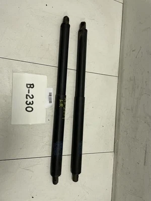 BMW X5 E70/FE43 2008 puerta trasera izquierda y derecha puntal de gas fabricante de equipos originales+  Foto 1 de 4