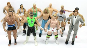 Lote de 14 figuras clásicas de luchador WWE WWF Wrestling Mattel Marvel Jakks - Imagen 1 de 9