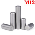 M12 304/A2 Stainless Steel Solid Bearing Cylindrical Position Roll  Dowel Pins