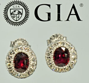 GIA Certified Natural Ruby Solid 14k Gold Natural Diamond Earrings - Picture 1 of 20