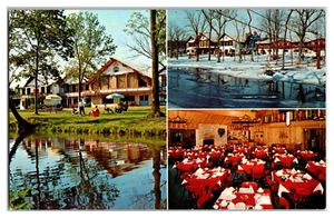 Wisconsin WI East Troy Alpine Valley Resort Multiview Unposted - Picture 1 of 2