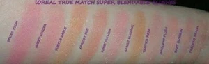 L'Oreal Paris True Match Blush You Choose Rose Apricot Honey Subtle Sable ++ - Picture 1 of 8