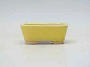 TOKONAME Shibakatsu Bonsai pot rectangular small Japanese ware yellow 2.75in - Picture 1 of 16