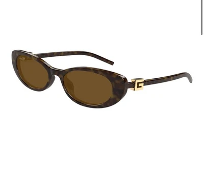 Óculos de sol Gucci GG1680S 004 Havana oval unissex novo autêntico - Imagem 1 de 4