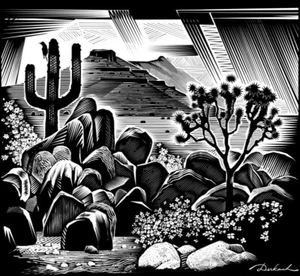 Sonora/Mojave Wüstendruck von V. Derkach - Bild 1 von 5