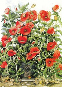 Postkarte: Inge Löök - Tür unter Mohnblumen / Nr. 115 - Imagen 1 de 1