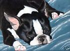 11X14 BOSTON TERRIER NAP Art PRINT of Painting by VERN