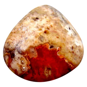 Valioso cabujón de lujo de 7,57 quilates (15 x 14 mm) ópalo de fuego matriz de México sin calefacción - Imagen 1 de 1
