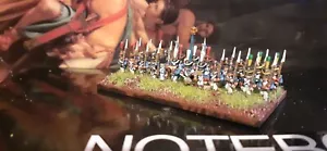 6mm Painted Napoleonic French Infantry Unit - Turner Miniatures - Picture 1 of 2
