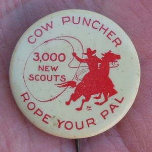 Whitehead & Hoag Pinback Button, COW PUNCHER ROPE YOUR PAL 3,000 BSA Recruiting - Picture 1 of 3