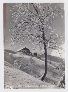 TO PT 18 Abetone rifugio della Selletta viaggiata 1959 - Picture 1 of 1