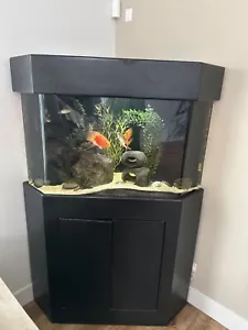 Corner aquarium fish tanks full set up with fish - Picture 1 of 7